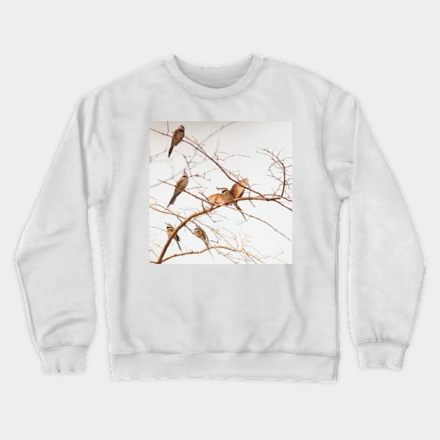 Feeding Time for the Bee Eaters Crewneck Sweatshirt by wlotus